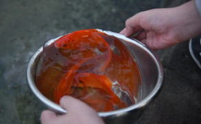 Cúng ông Công ông Táo có nhất thiết phải thả cá chép?