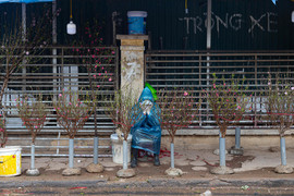 Hà Nội mưa rét đỉnh điểm, người bán 'ôm' cây cảnh Tết, sốt ruột chờ khách mua