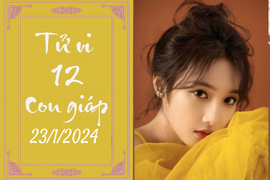 Tử vi vui 12 con giáp hôm nay ngày 23/1/2024: Thân cố gắng, Mùi năng động