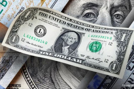 Giá USD tự do lao dốc, sắp mất mốc 25.000 đồng/USD