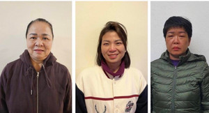 Bắt giam Chủ tịch Công ty TNHH vận tải Thủy bộ Hải Hà Trần Tuyết Mai