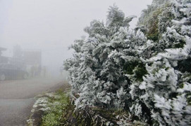 Dự báo thời tiết 10 ngày từ đêm 24/1 đến 3/2 cho Hà Nội và cả nước