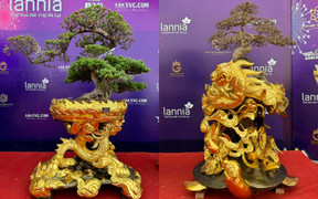 Mãn nhãn bộ đôi cây cảnh Tết giá gần 6 tỷ đồng