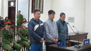 Giám đốc Công ty Đăng kiểm xe cơ giới Thái Bình hầu tòa với cáo buộc nhận hối lộ