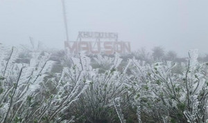 Rét buốt bao trùm miền Bắc, đỉnh Mẫu Sơn xuống -2,5 độ C