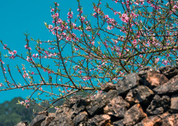 Lịch nghỉ Tết Nguyên đán Giáp Thìn 2024 và những điều người lao động cần biết