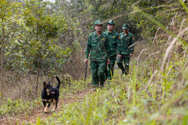 Truy vết hàng lậu ở biên giới Lạng Sơn ngày cận Tết Giáp Thìn