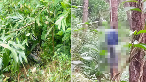 Nghệ An: Nghi phạm tự tử sau khi sát hại vợ và mẹ vợ 