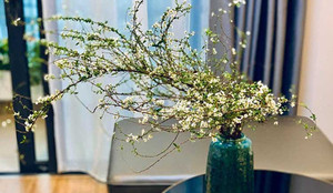 Nhúng cành hoa vào nước sôi có công dụng gì?