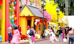 Dự báo thời tiết TP.HCM hôm nay 29/1: Se lạnh vào sáng sớm