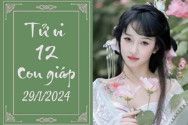 Tử vi vui 12 con giáp hôm nay ngày 29/1/2024: Ngọ chinh phục, Tỵ cân bằng