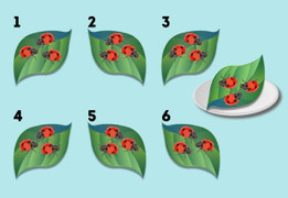 Trong 10 giây, đố bạn nhận ra chiếc lá nào giống chiếc lá trên đĩa