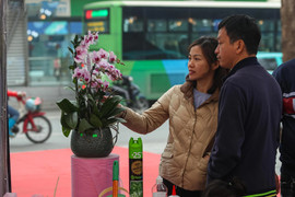 Dự báo thời tiết 10 ngày từ đêm 29/1 tới 7/2 cho Hà Nội và cả nước