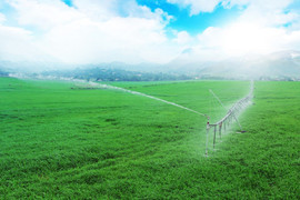 Doanh nghiệp với sứ mệnh ‘sống xanh’