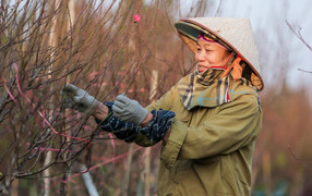 Miền Bắc kết thúc đợt rét đậm rét hại diện rộng, nhiệt độ cao nhất 21 độ C