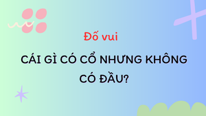 Cái gì có cổ nhưng không có đầu?