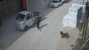 Tài xế quên kéo phanh tay, xe tải từ từ lùi xuống mương