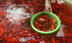 Chợ cá lớn nhất Hà Nội buôn bán xuyên đêm trước ngày ông Công, ông Táo