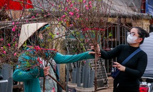 Cơ quan khí tượng nhận định thời tiết dịp Tết Nguyên đán Giáp thìn