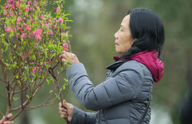 Miền Bắc sáng sớm mưa rét, trưa chiều hửng nắng