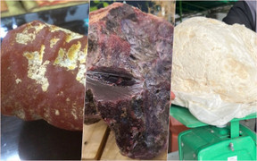 Những lần ngư dân Việt vô tình bắt được 'vàng nổi' trị giá tiền tỷ 