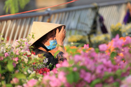 Thời tiết TP.HCM ngày 25/12: Ngày nắng gián đoạn, nền nhiệt cao nhất 31 độ C