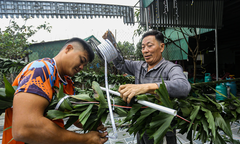 Bỏ túi tiền triệu mỗi ngày từ dịch vụ làm cây ‘trừ tà’