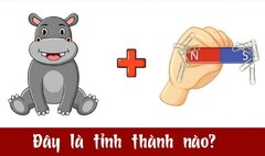 Người IQ cao chỉ cần chưa đến 10 giây để đoán tên tỉnh này