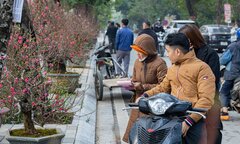 Đào cho thuê giảm giá vẫn vắng khách, quất cho thuê 'lên ngôi'