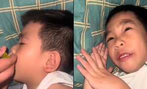 Đang ngủ say cũng phải choàng tỉnh khi bị vắt chanh vào miệng