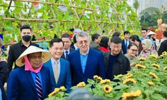 Trải nghiệm Tết Việt tại 'Ngày tìm hiểu Việt Nam 2024'