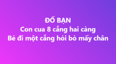 Người IQ cao chỉ mất 3 giây để trả lời câu đố mẹo này