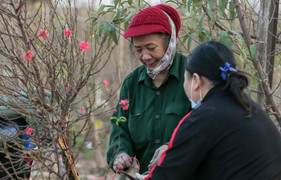 Dự báo thời tiết ngày 6/2: Miền Bắc tăng nhiệt, trưa chiều trời nắng