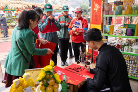 Đón Tết Xanh hạnh phúc cùng Vincom với các hoạt động xã hội ý nghĩa