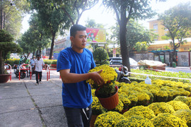 Dự báo thời tiết TP.HCM ngày 6/2: Ít mây, trời nắng nóng