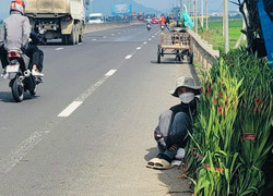 Lay ơn rớt giá, nông dân Phú Yên phập phồng lo hoa ế, đội nắng 'ngóng’ người mua