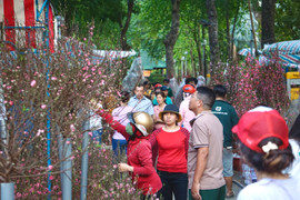 Chợ hoa xuân TP.HCM tấp nập khách mua ngày 28 Tết