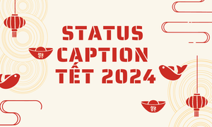 Những status hay chào đón Tết Giáp Thìn 2024