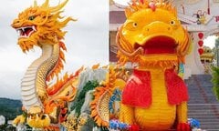Linh vật rồng tỉnh thành nào đẹp nhất Tết Giáp Thìn 2024?