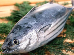 Những loại cá bạn nên hạn chế ăn