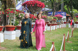 Hội hoa xuân Tao Đàn hút khách, người dân nô nức thăm quan, thưởng lãm