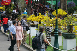 Dự báo thời tiết TP.HCM ngày 29 Tết: Trời nắng nóng