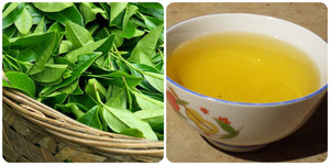 Uống nước chè xanh có tác dụng gì với sức khoẻ?