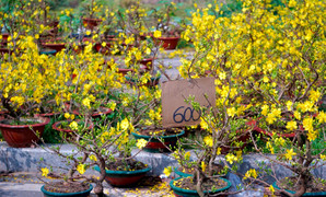 Tiểu thương TP.HCM đồng loạt xả hàng, vừa bán vừa tặng chiều 30 Tết