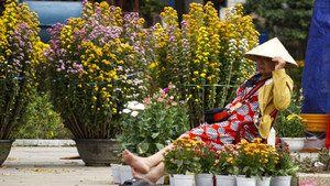 Tâm sự của tiểu thương chợ hoa Bình Định chiều cuối năm