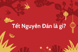 Tết Nguyên Đán là gì? Tại sao lại gọi là Tết Nguyên Đán