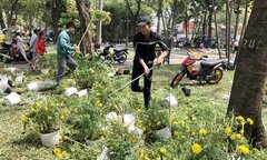 Đập bỏ hoa chiều 30 Tết: Ai dạy ai bài học?
