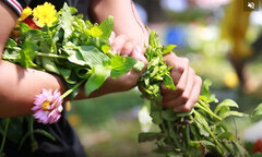 Đập bỏ hoa chiều 30 Tết: Cay cú, 'ăn vạ' người mua