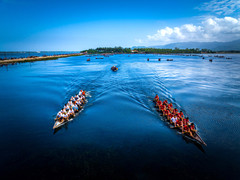 Lễ hội đua thuyền tại Bình Định: Nét văn hoá đặc sắc miền biển