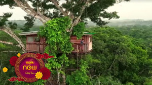 Lớp học trên cây đặc biệt ở rừng Amazon tại Peru